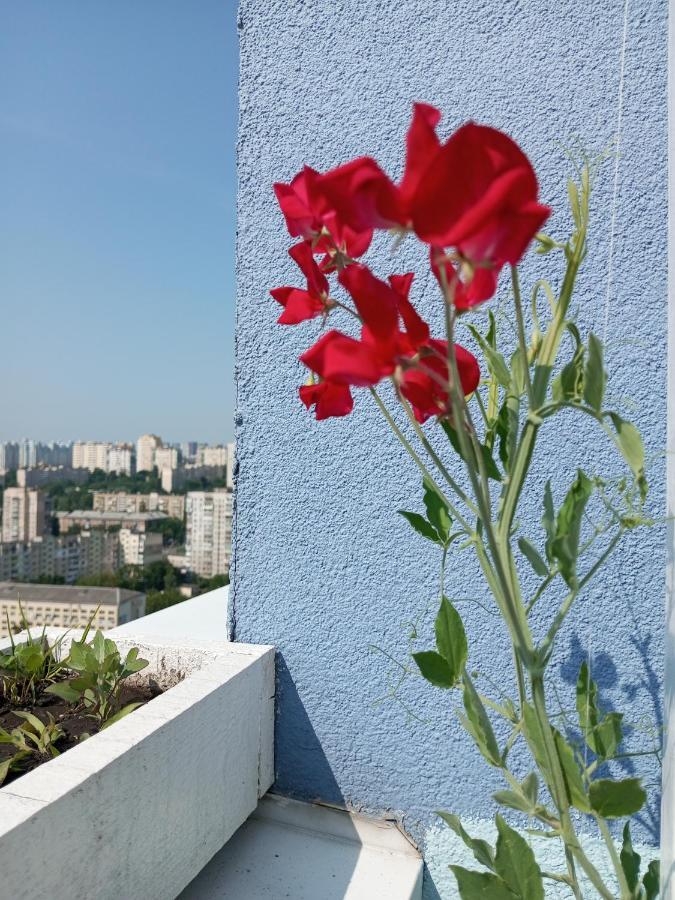 Небольшой Пентхаус С Прекрасным Видом На Город Kyiv Exterior photo